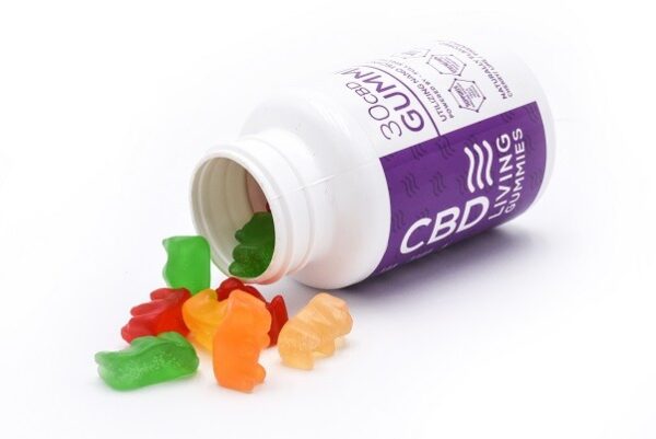 Buy CBD Living Gummies 300mg 1