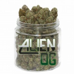 alienog jar 1 510x510 1